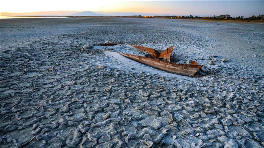 Van'da geliştirilen yerli mikrobiyal gübre kuraklığın tarımdaki etkisini azaltacak