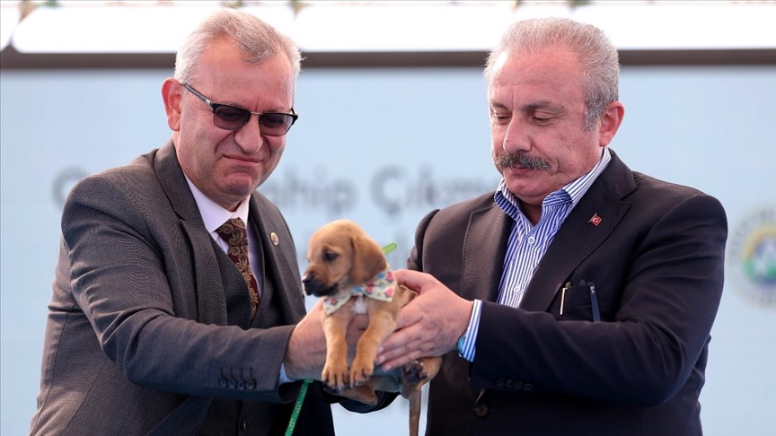TBMM Başkanı Şentopa barınak açılışında sokak köpeği armağan edildi