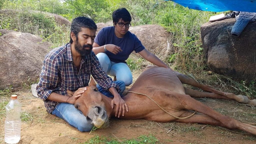 Indian man saves animals from disaster, precarious situations