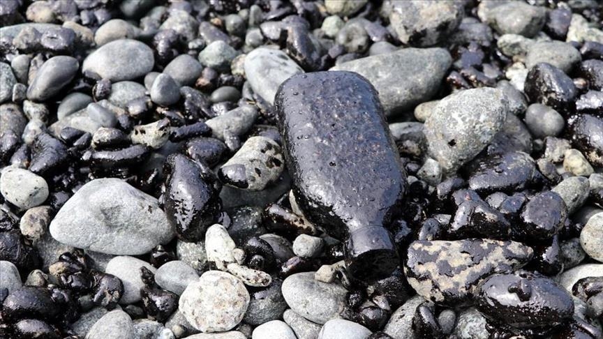 Etats-Unis: un déversement de pétrole provoque une catastrophe écologique