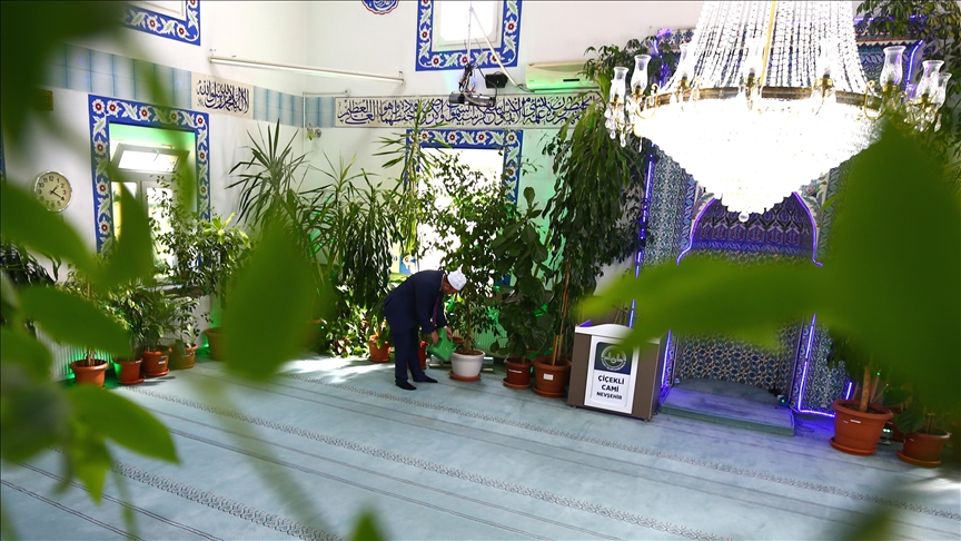 Xhamia e Luleve në Turqi: Është si të lutesh në një kopsht botanik