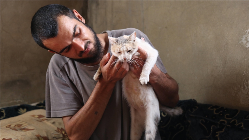 إدلب.. شاب سوري يعتني بـ 35 قطة رغم ضيق إمكانياته