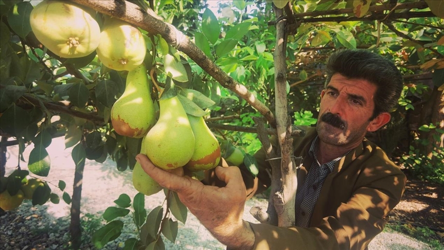 چارەسەرێکی سەیر لە جووتیارە نموونەییەکەی هەلەبجەوە بۆ کێشەی کەمئاوی