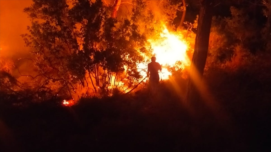 Bodrumda çıkan orman yangını söndürüldü
