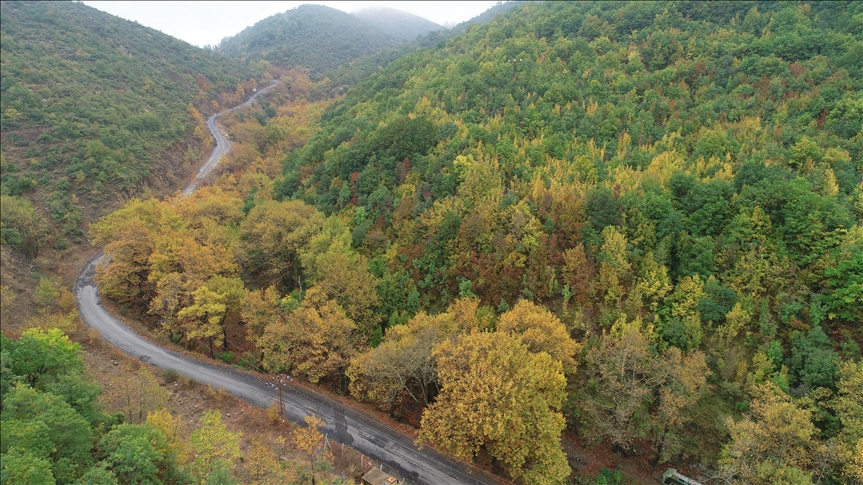 تركيا.. ألوان الخريف تكسو غابات جبل "غانوس"
