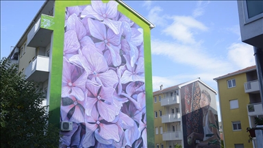 U izboru platforme "Street Art Cities": Mostarski murali među najljepšim na svijetu