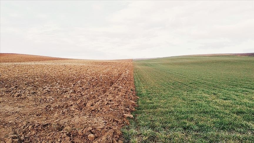 ANALYSIS - Joining the dots or joining late? Turkey’s new climate policy