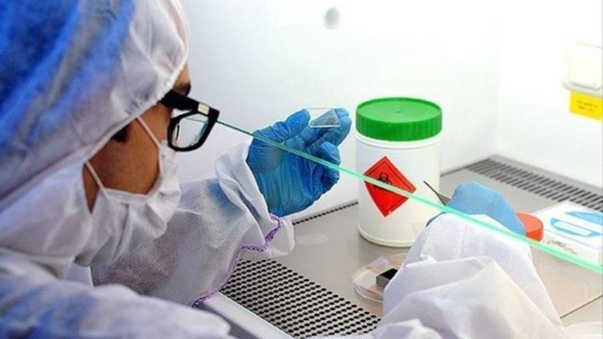 Agencia Europea de Medicamentos puso fin a la evaluación de una vacuna alemana contra la COVID-19