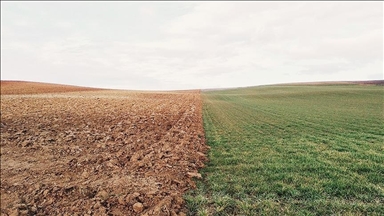 ANALYSIS - Joining the dots or joining late? Turkey’s new climate policy