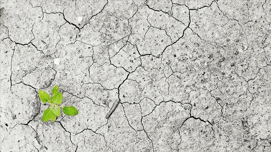 Турция официально вступит в Парижское климатическое соглашение 10 ноября