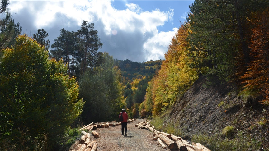 Гора Мурат: золотая осень на западе Турции завораживает гармонией красок
