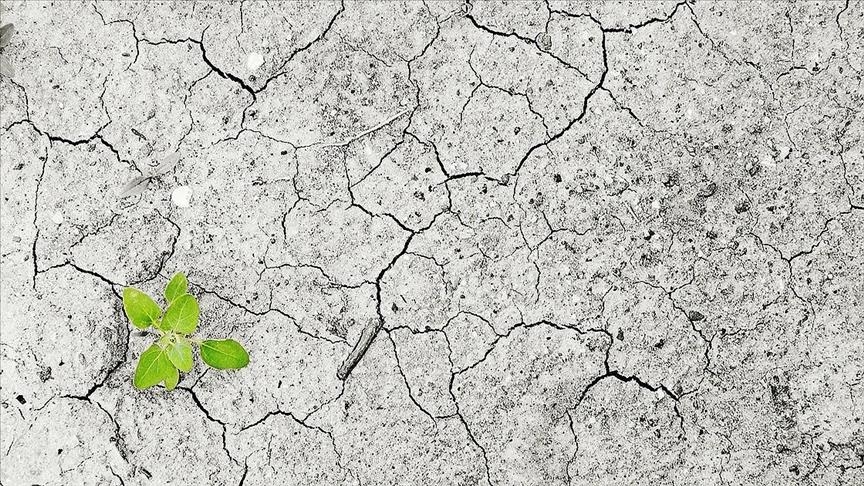 تركيا تنضم رسميا لاتفاق باريس للمناخ في 10 نوفمبر