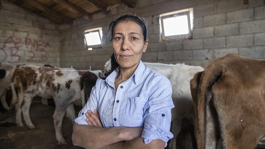 Çiftçiliğe 5 inekle başlayan Hüsniye Bulut devlet desteğiyle sürü sahibi oldu