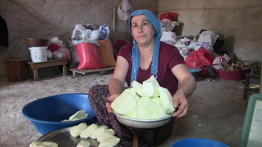 Mikro krediyle hayvancılık işine başlayan girişimci kadın, yurt dışına peynir göndermeye başladı
