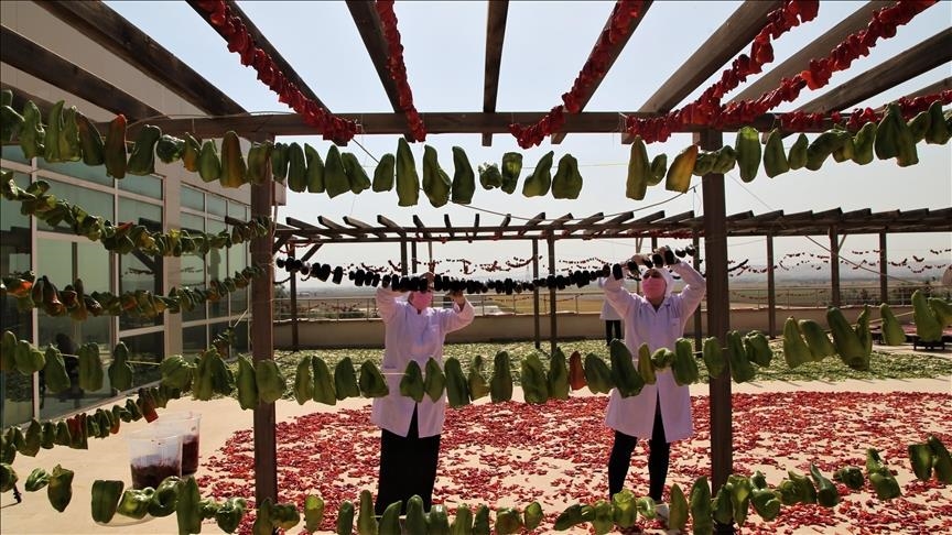 Jinên Rihayî hêza xwe kirin yek û wê tehmên tescîlkirî bişînin Ewropayê