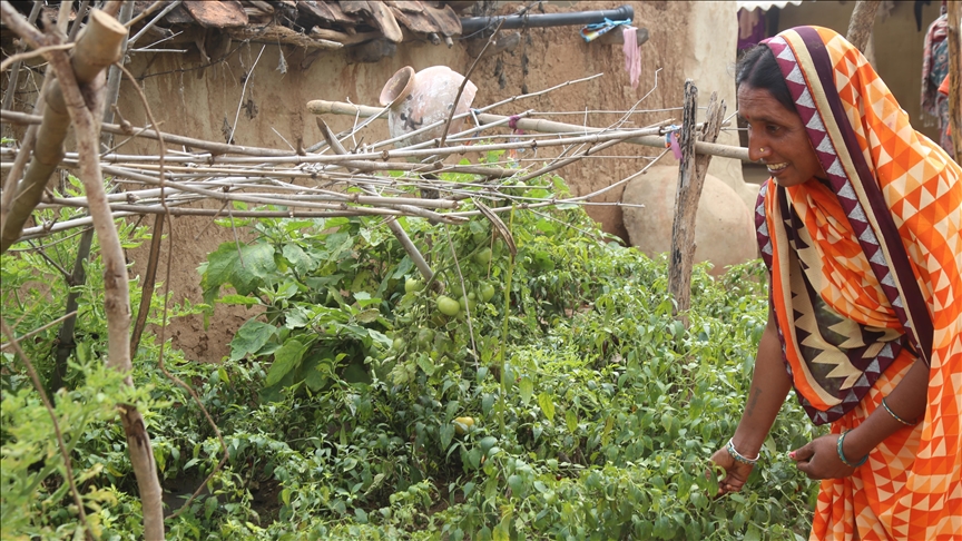 Kitchen gardens help indigenous in India combat malnutrition