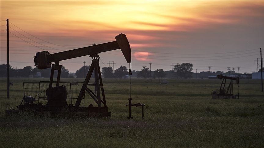 Oil prices up on continuation of energy crunch, demand recovery