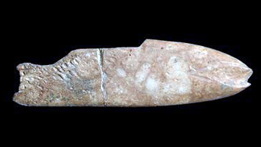 İzmirde 8 bin yıl öncesine ait balık figürlü alet bulundu
