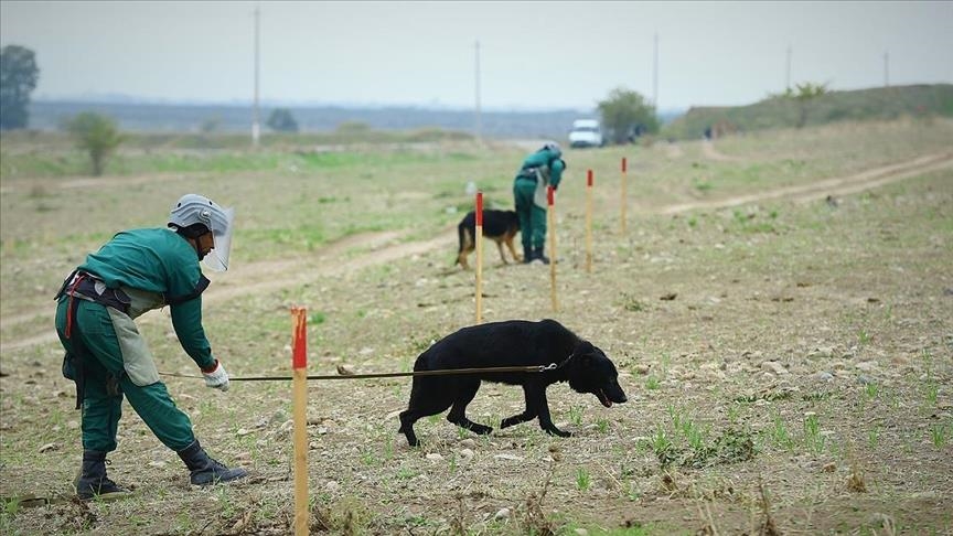 «Неизвестные герои» восстановления в Карабахе: специалисты по разминированию