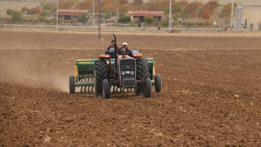 Kırşehirde kuraklığa dayanıklılığının tespiti için 35 çeşit arpa ve buğdayın deneme ekimi yapıldı