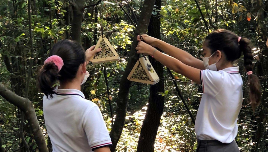 Öğrencilerin imal ettiği 'arı otelleri' ormana yerleştirildi