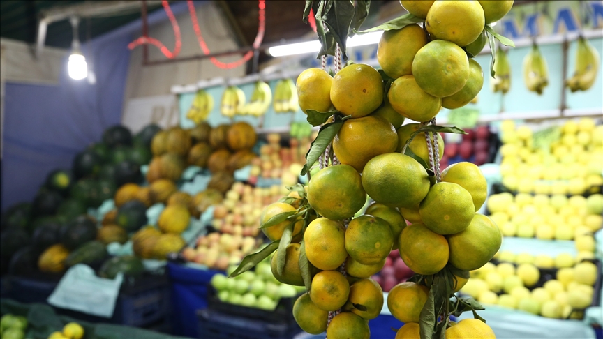 Экспорт цитрусовых из Турции достиг $427 млн