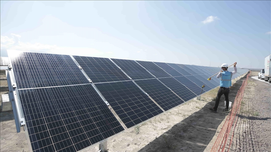 El sector de las energías renovables dio empleo a 12 millones de personas en todo el mundo en 2020