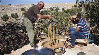 درووستكردنى دۆشاوى ترێ لە شارۆچكەى ئەيغلى لە دياربەكر دەستيپێكرد