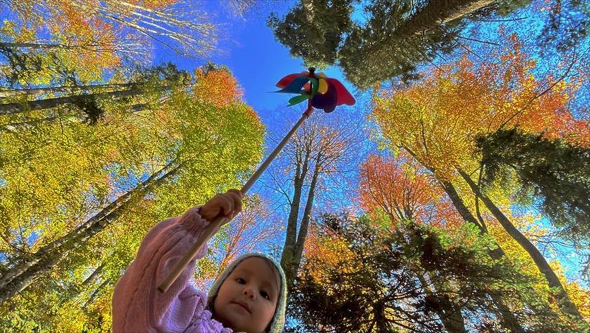 Волшебните бои на есента ги обоија висорамнините во турскиот град Дузџе