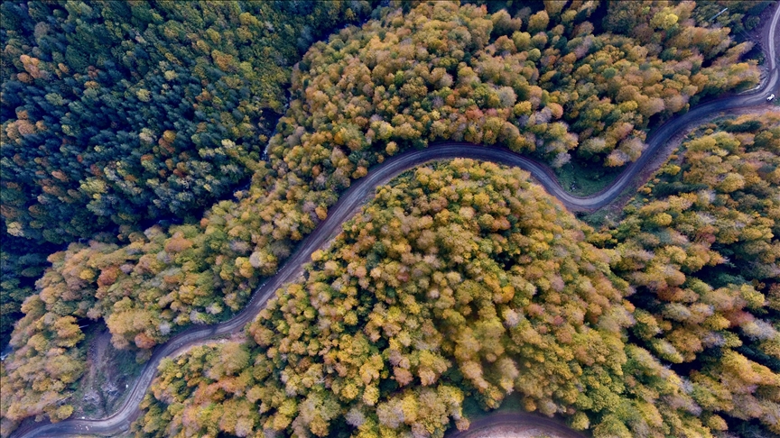 На северо-западе Турции можно увидеть все краски осени