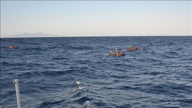 Greqi, katër emigrantë humbin jetën pranë ishullit Kios