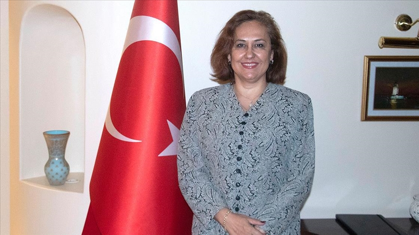 Türkiye'nin Pretorya Büyükelçisi Kandaş: Güney Afrika Türkiye'nin Afrika politikalarında başat öneme sahip