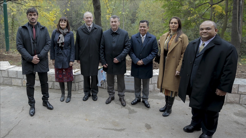 Zasađena nova stabla lipe u Aleji ambasadora u Sarajevu