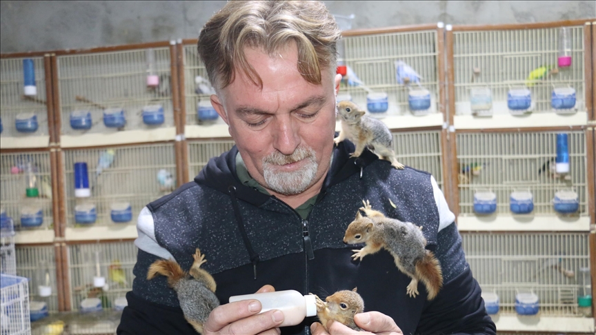 Animal lover gives baby squirrels new lease on life