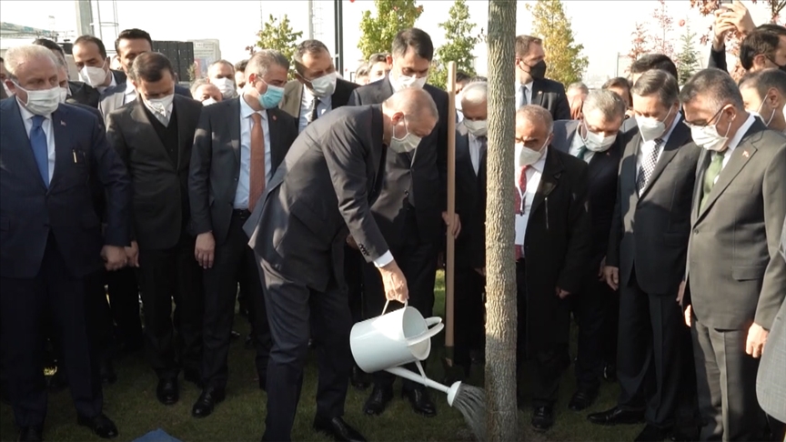 Cumhurbaşkanı Erdoğan ve MHP Lideri Bahçeli Başkent Millet Bahçesine fidan dikti