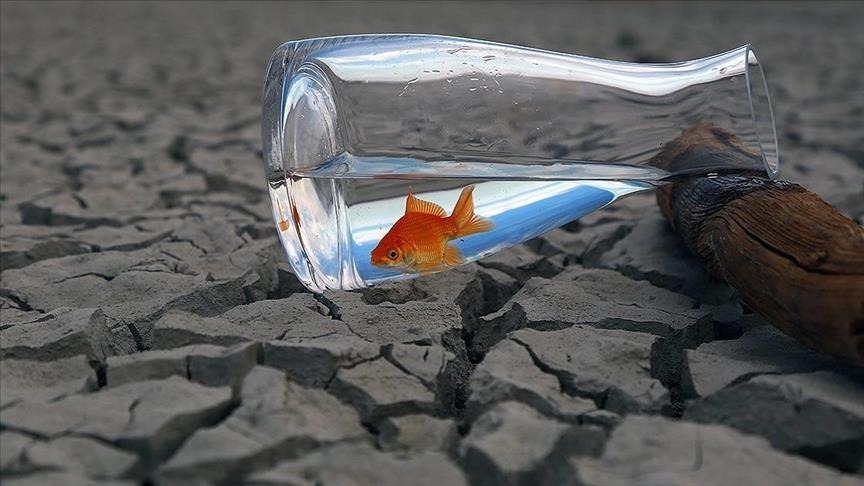 'Annual climate adaptation costs in developing countries could reach $300B'