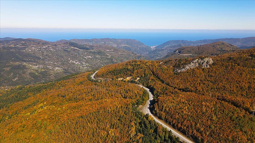 Осенний пейзаж в горах Кюре