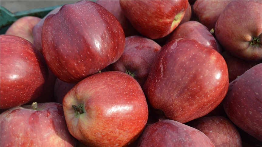 Türkiyenin elma ihracatı 9 ayda yüzde 65, elma suyu ihracatı yüzde 62 arttı