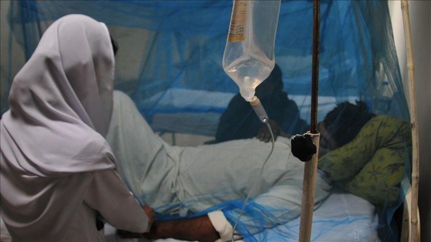 En India nueve estados y territorios reportan un aumento en los casos de dengue