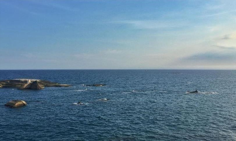 US Navy sacks top officers after sub hits undersea mountain
