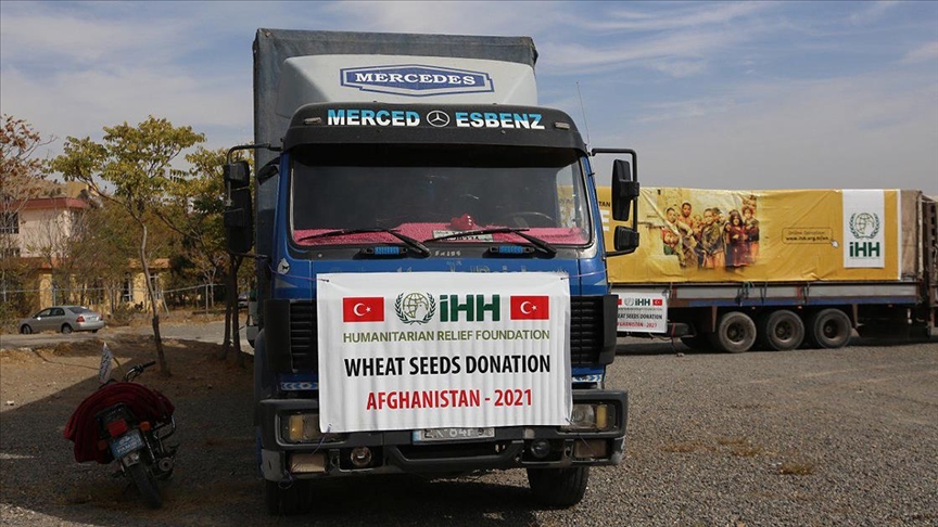 İHH Afganistanda 100 ton buğday tohumu yardımı yaptı