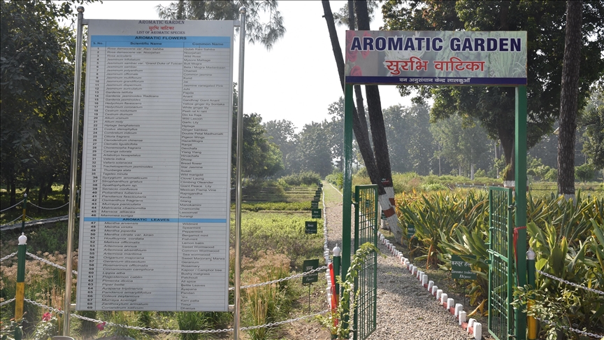 India opens largest aromatic garden in Himalayan region