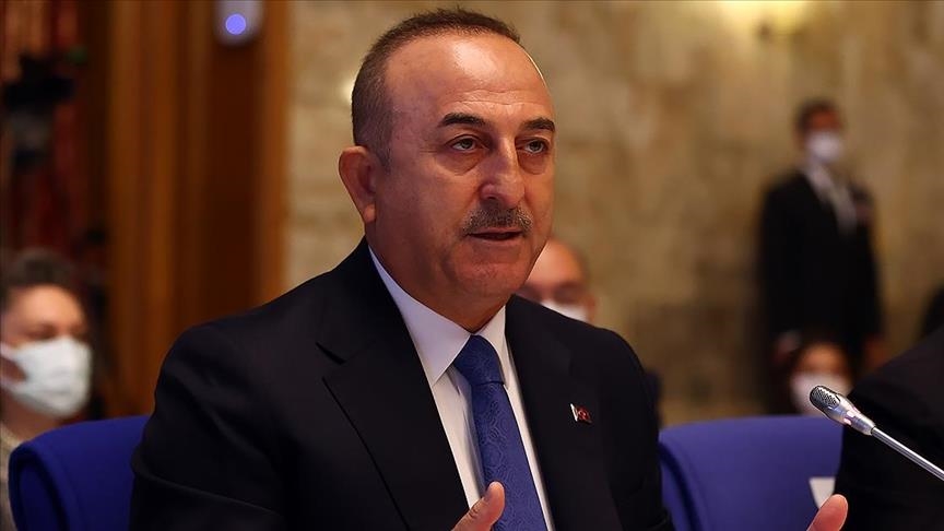 Turkey's foreign minister discusses 'cooperation projects' with WHO chief
