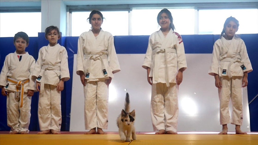 Sevimli kedi yavrusu Karamel küçük judocuların maskotu oldu