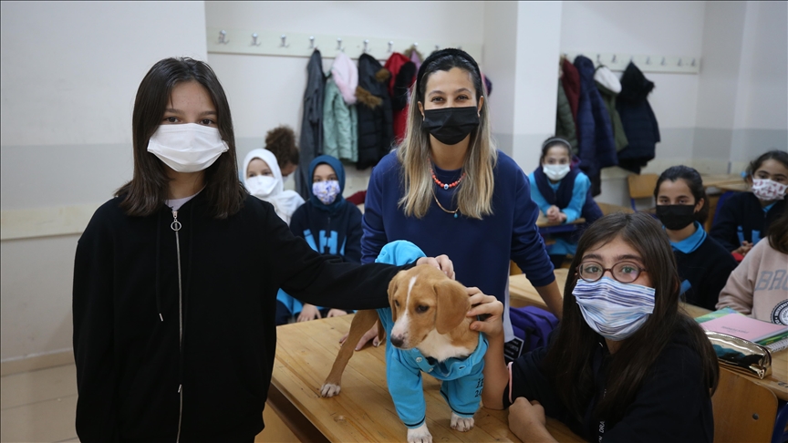 Orduda öğrencilerin Karamel adını verdiği köpek okulun maskotu oldu