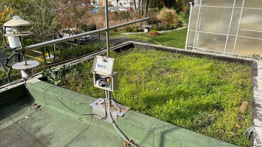 Yeşil çatılar karbon emiyor ısı kaybını önlüyor