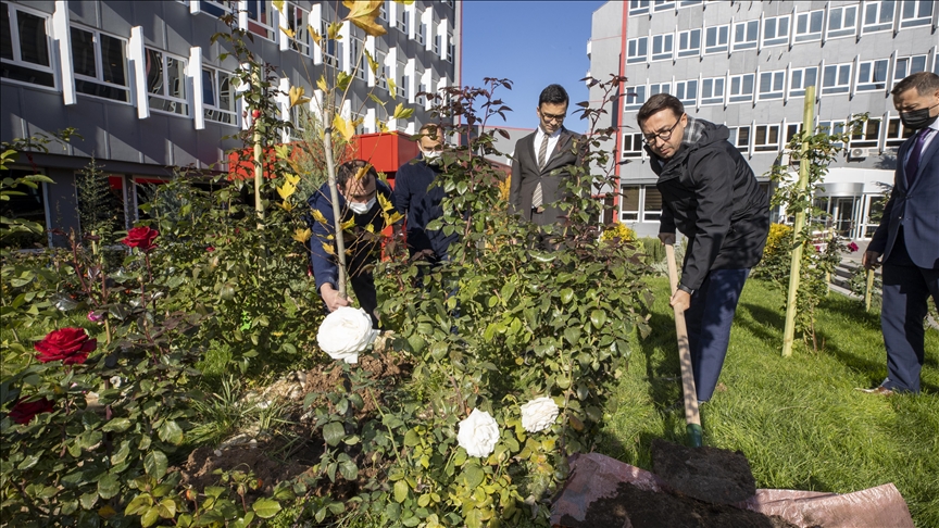 Anadolu Agency plants saplings in show of support for Turkeys afforestation day