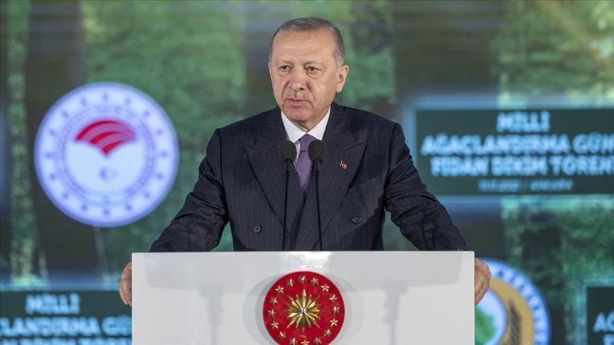 اردوغان: تا پایان سال 2023 در ترکیه 7 میلیارد اصله درخت میکاریم