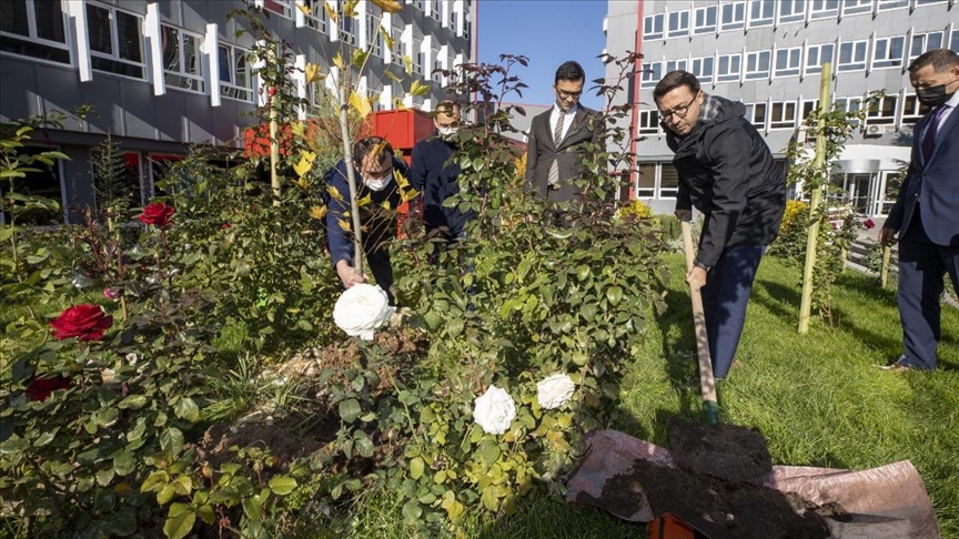Asırlık AA'nın bahçesine asırlara meydan okuyan çınar ağacı dikildi