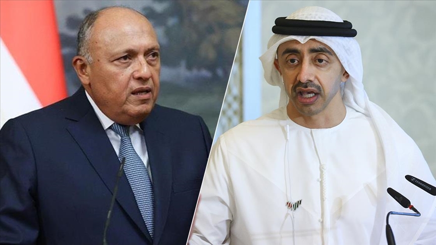 وزيرا خارجية مصر والإمارات يبحثان تطورات الأوضاع في سوريا